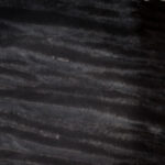 Charcoal Burst