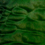 Forest Green Burst